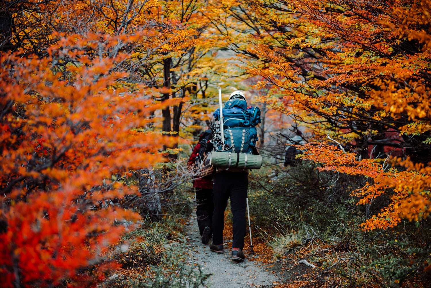 Hiking & Backpacks